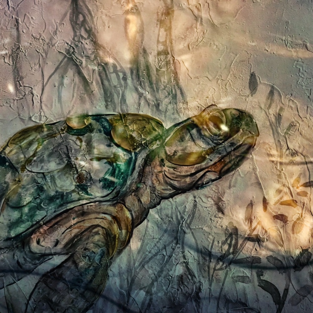 Sea Turtle- 12” x 12” archival fine art signed prints. Limited